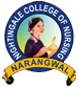 Nightingale Nursing College